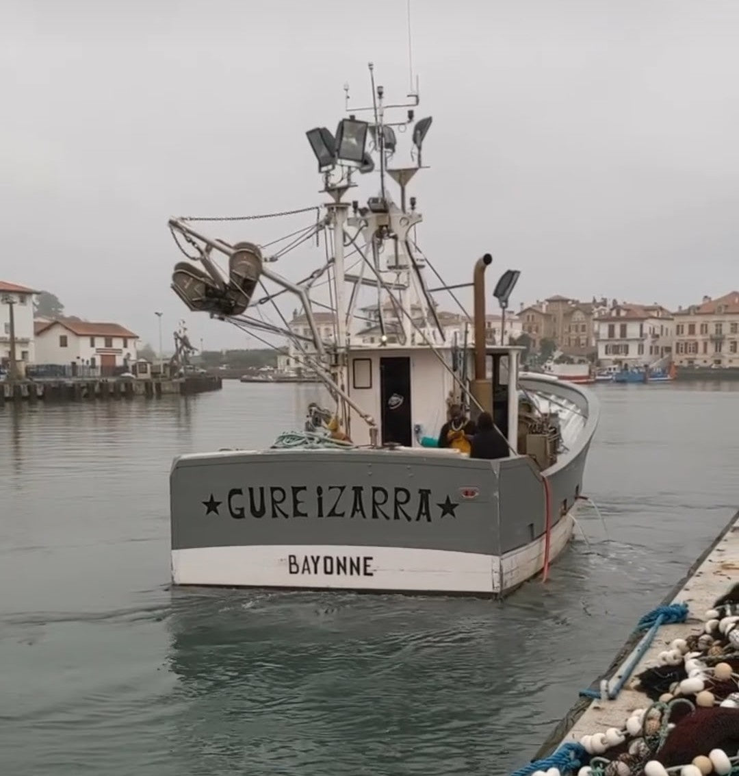 La pêche à la sardine
