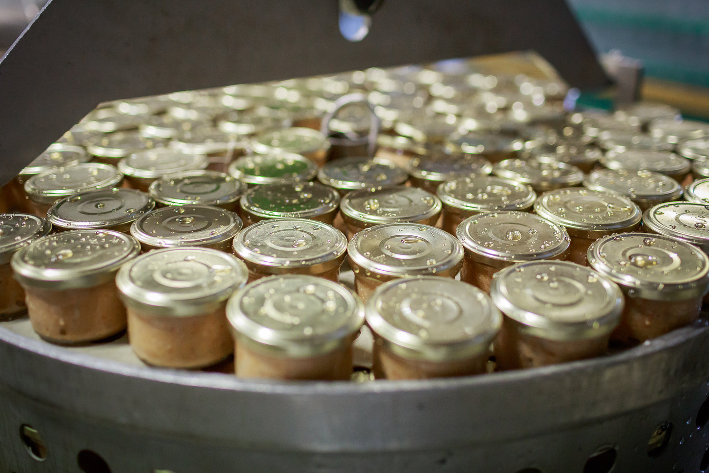 Organic mackerel and garlic terrine - 85gr