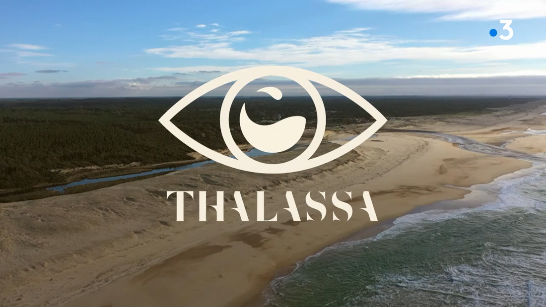 Thalassa conserverie pays basque