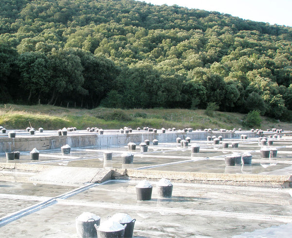 Sel traditionnel Bio des Pyrénées